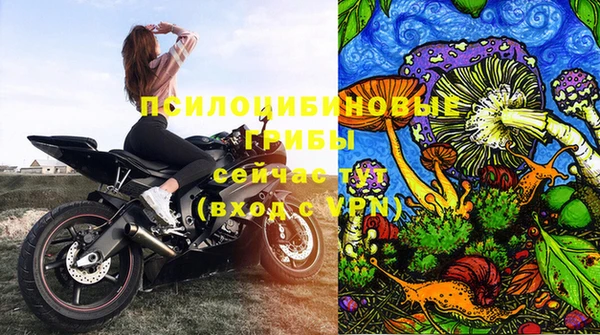 гидра Алзамай