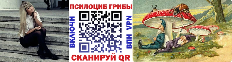 shop телеграм  купить наркоту  Козловка  Псилоцибиновые грибы ЛСД 